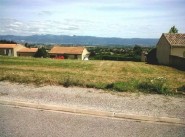 Acquisto vendita Saint Marcel Les Valence