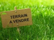 Acquisto vendita terreno Champis