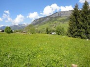 Acquisto vendita terreno Praz Sur Arly