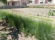 Acquisto vendita terreno Saint Paul Trois Chateaux