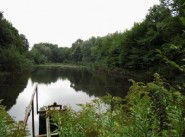 Acquisto vendita terreno Saint Trivier Sur Moignans