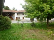 Acquisto vendita Violay