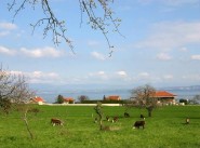 Casa di villaggio / città Maxilly Sur Leman
