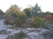 Immobiliare Labeaume